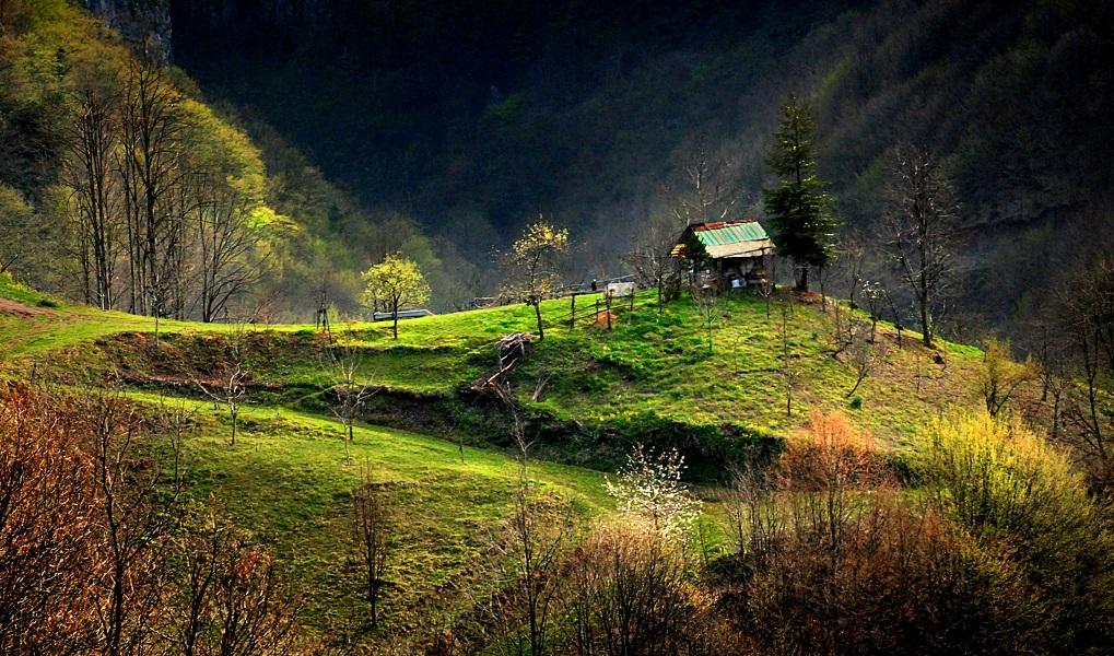 Başiskele 1