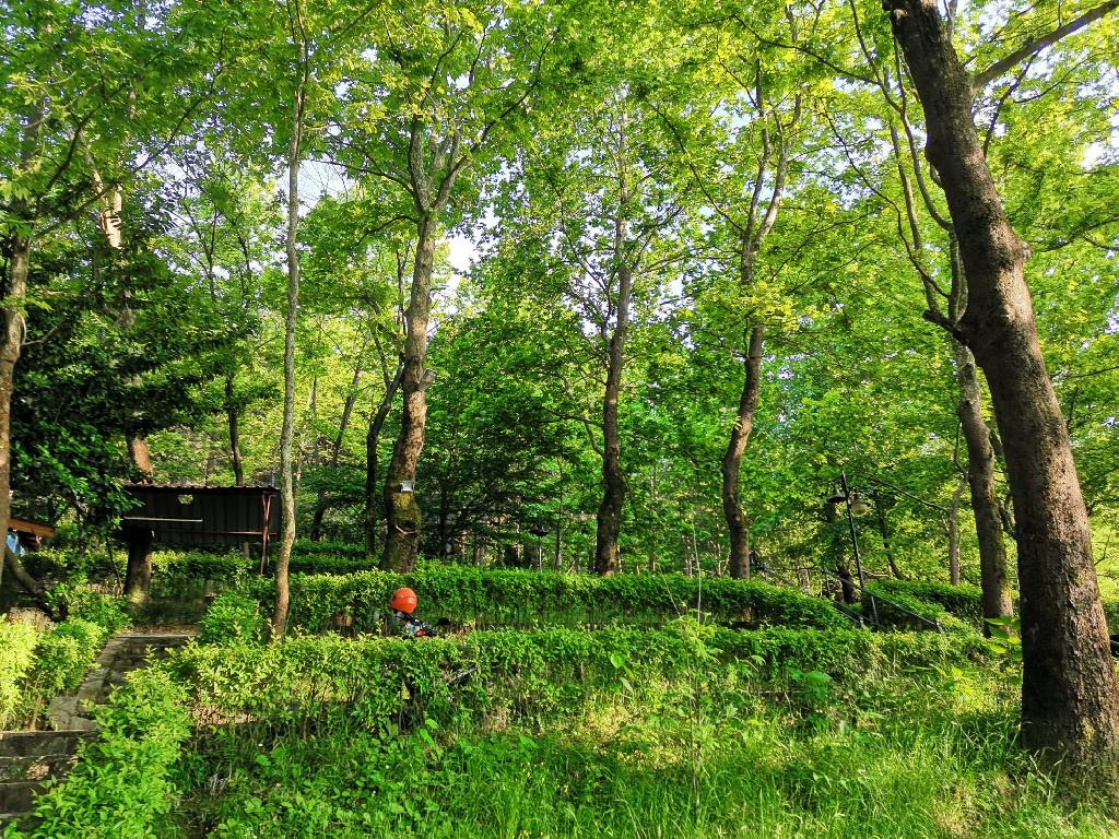 BAŞİSKELE SOĞUKSU MESİRE ALANI