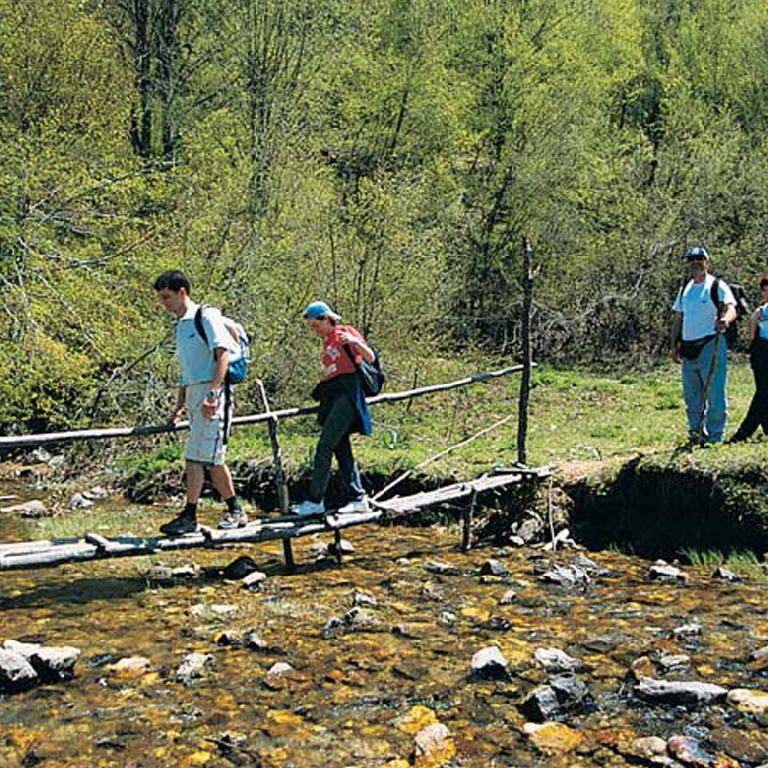 Aytepe Menekşe Yaylası